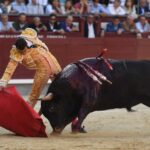 Madrid, domingo 9 de junio de 2019