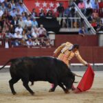 Madrid, domingo 9 de junio de 2019