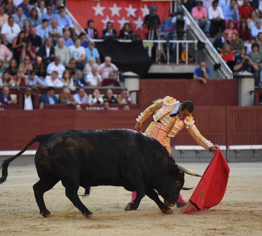 Madrid, domingo 9 de junio de 2019