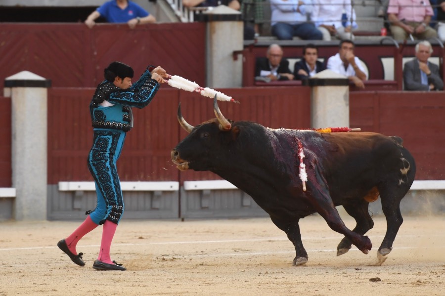 Madrid, domingo 9 de junio de 2019