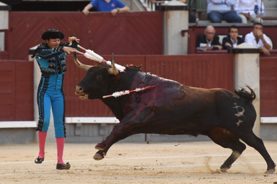 Madrid, domingo 9 de junio de 2019