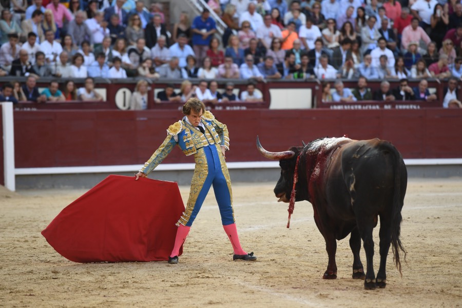 Madrid, domingo 9 de junio de 2019