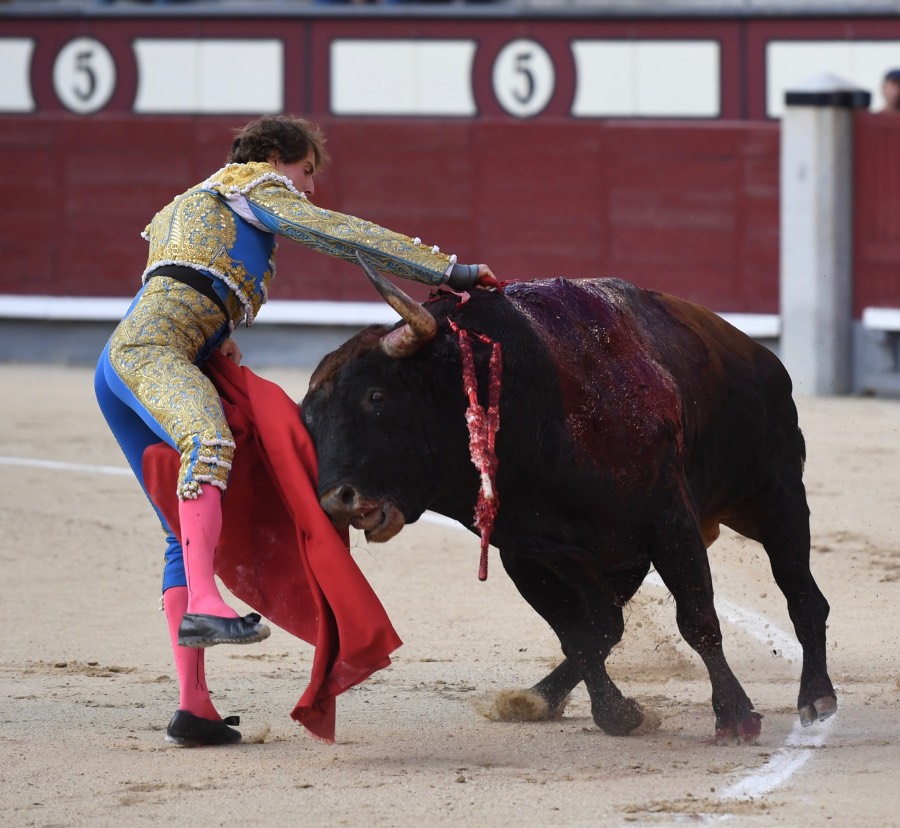 Madrid, domingo 9 de junio de 2019
