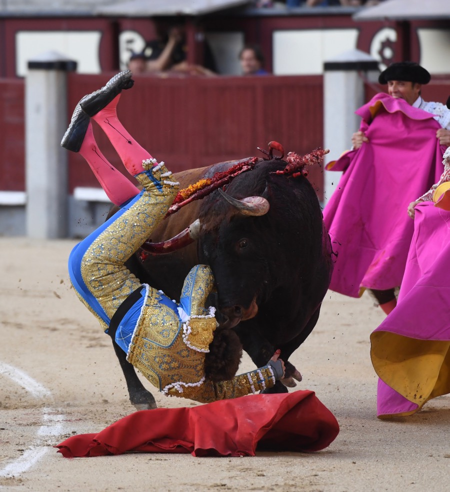 Madrid, domingo 9 de junio de 2019
