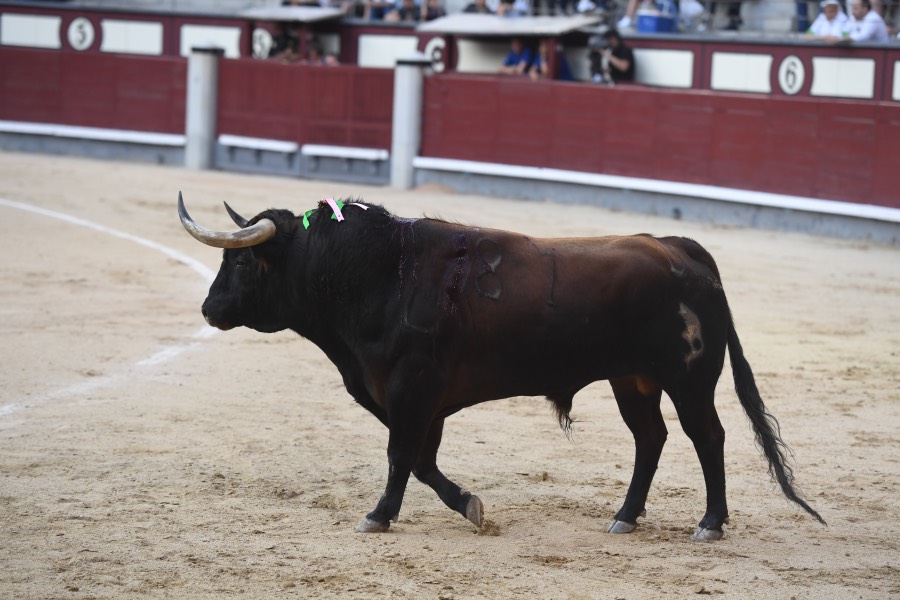 Madrid, domingo 9 de junio de 2019