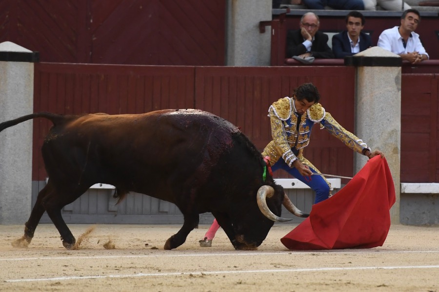 Madrid, domingo 9 de junio de 2019