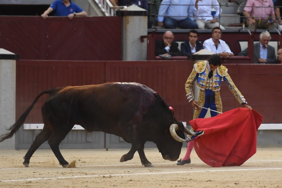 Madrid, domingo 9 de junio de 2019