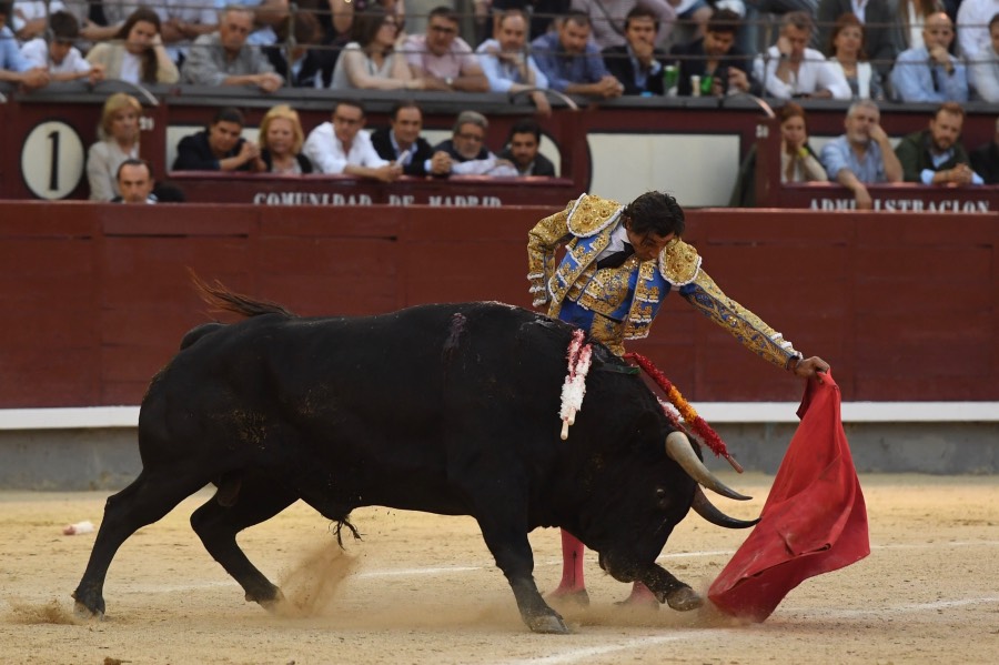 Madrid, domingo 9 de junio de 2019