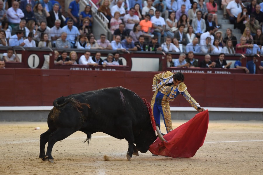 Madrid, domingo 9 de junio de 2019