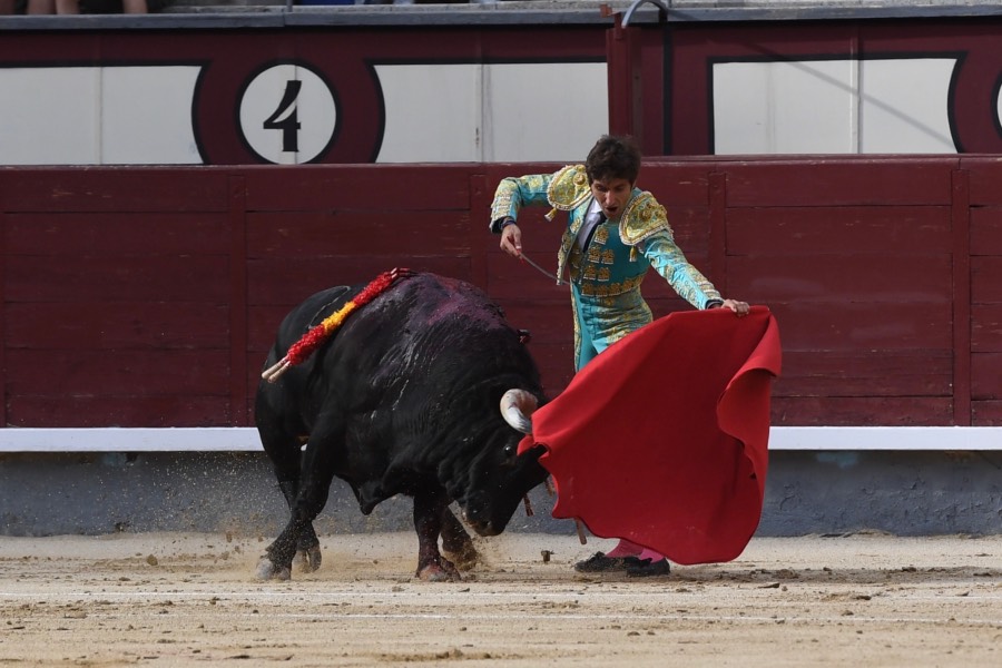 Madrid, domingo 23 de junio de 2019