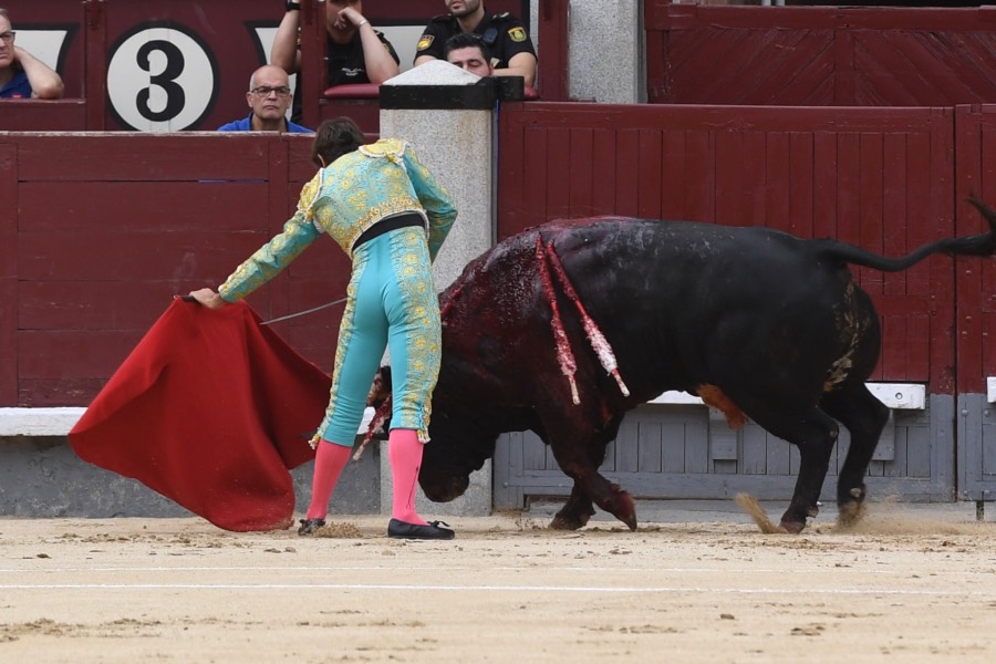 Madrid, domingo 23 de junio de 2019