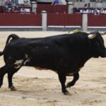 Madrid, domingo 23 de junio de 2019