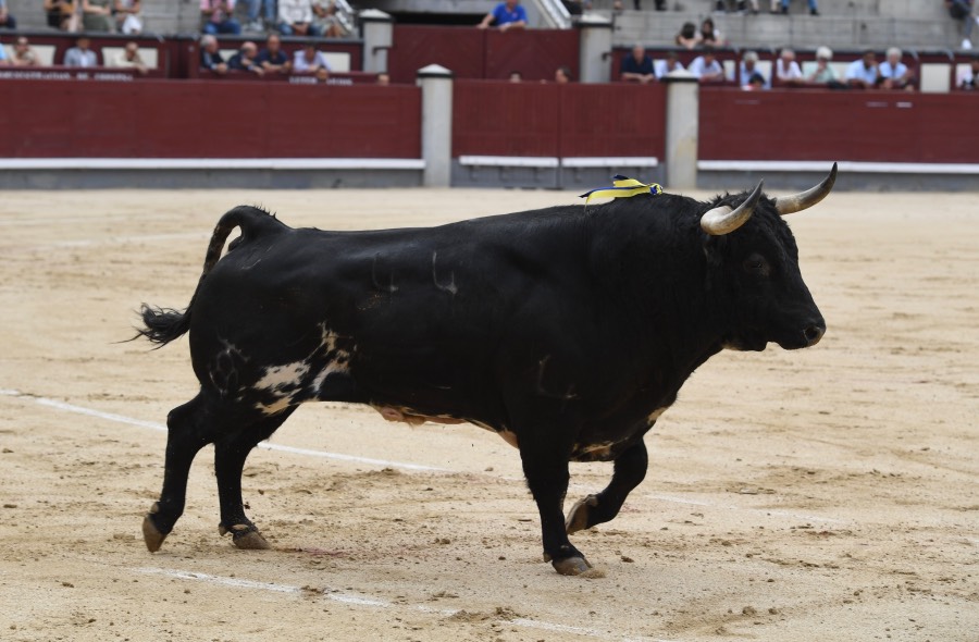 Madrid, domingo 23 de junio de 2019