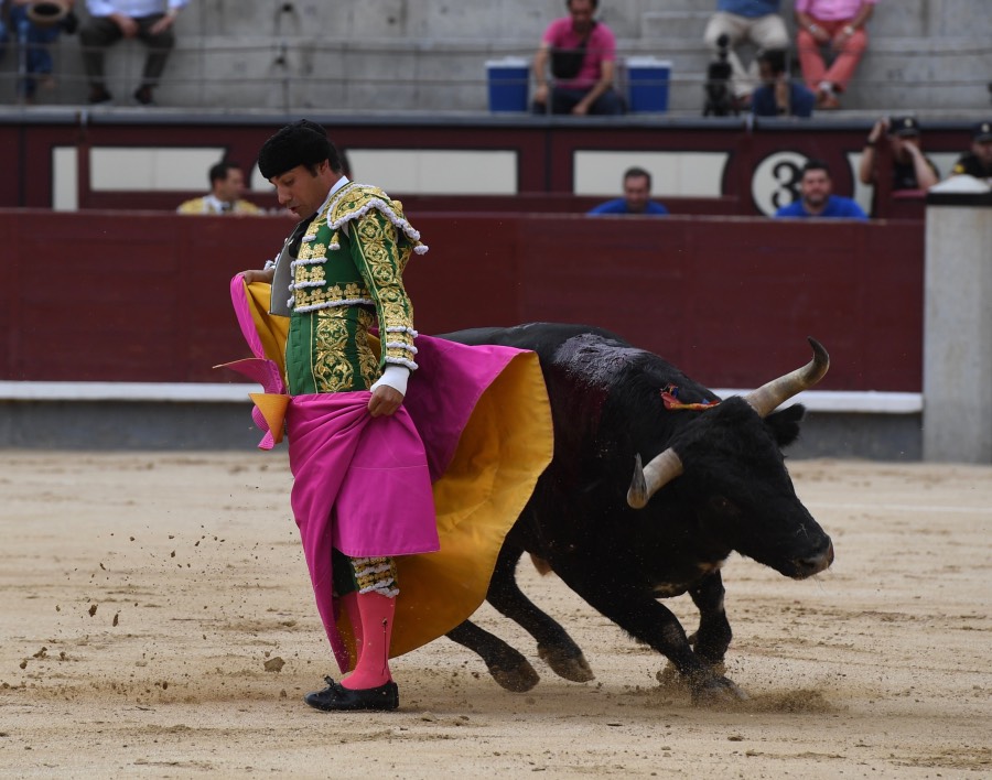 Madrid, domingo 23 de junio de 2019