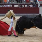 Madrid, domingo 23 de junio de 2019