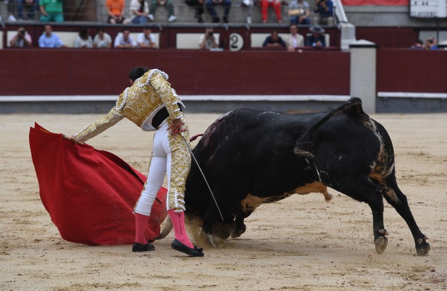 Madrid, domingo 23 de junio de 2019