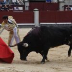 Madrid, domingo 23 de junio de 2019