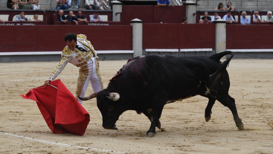 Madrid, domingo 23 de junio de 2019