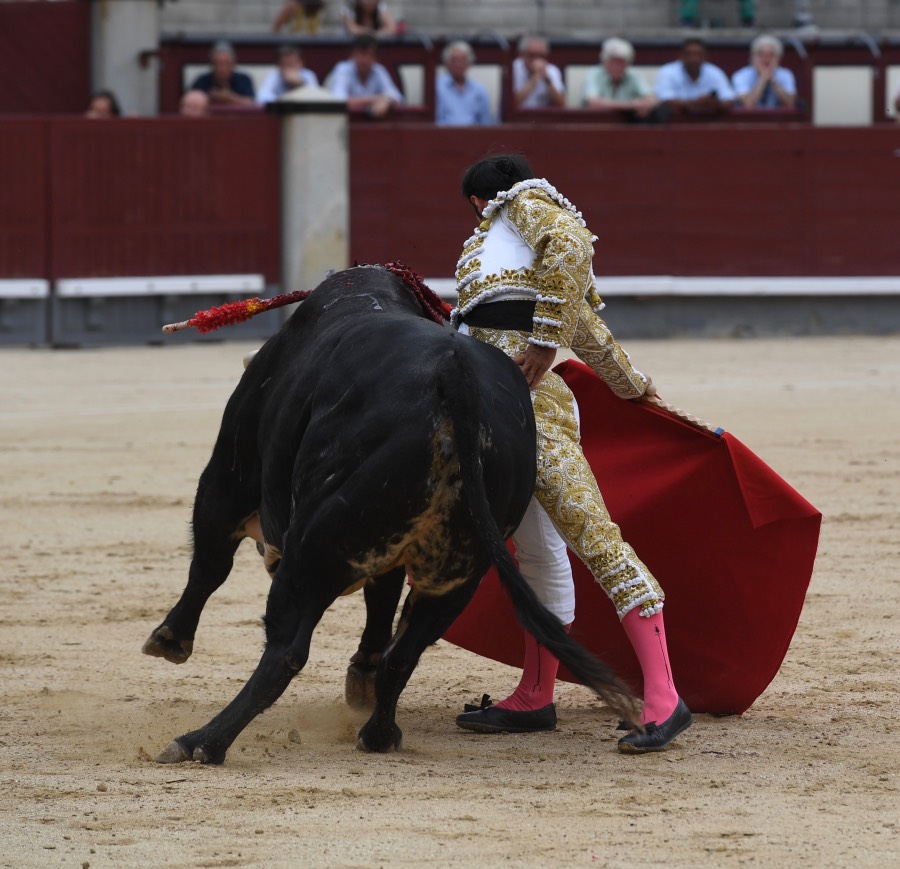 Madrid, domingo 23 de junio de 2019