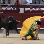 Madrid, domingo 23 de junio de 2019