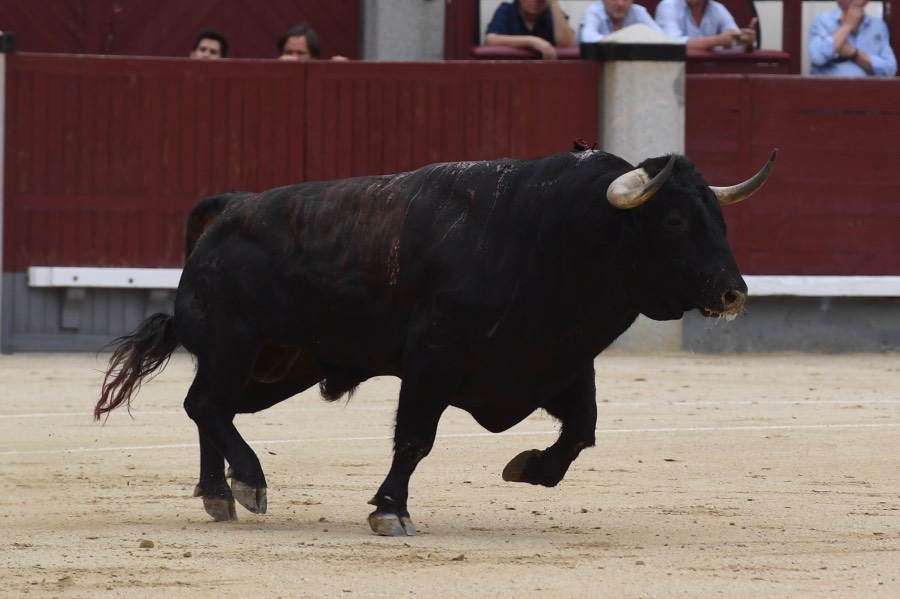 Madrid, domingo 23 de junio de 2019