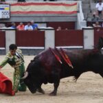 Madrid, domingo 23 de junio de 2019