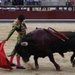 Madrid, domingo 23 de junio de 2019