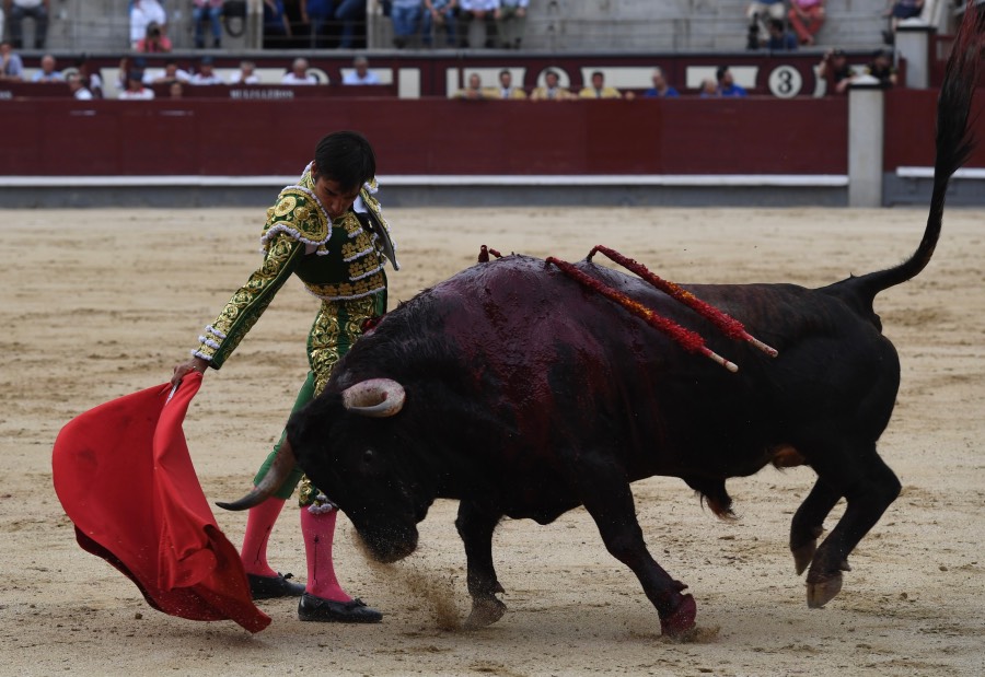 Madrid, domingo 23 de junio de 2019