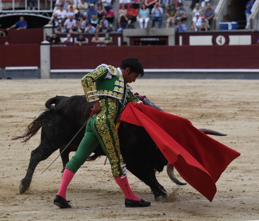 Madrid, domingo 23 de junio de 2019
