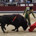 Madrid, domingo 23 de junio de 2019