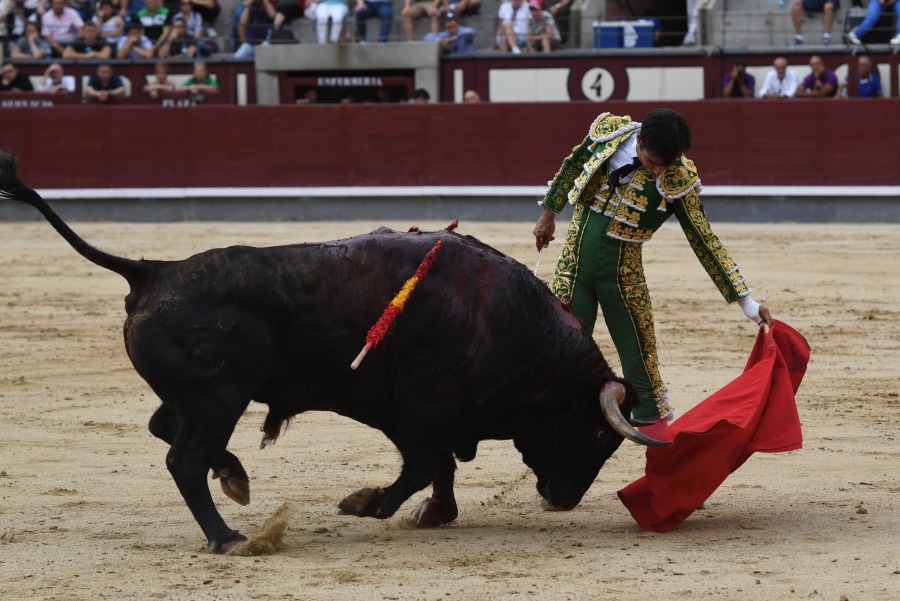 Madrid, domingo 23 de junio de 2019