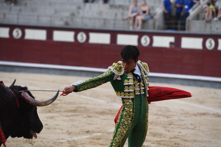 Madrid, domingo 23 de junio de 2019