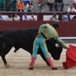 Madrid, domingo 23 de junio de 2019