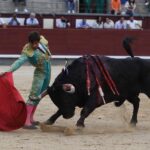Madrid, domingo 23 de junio de 2019