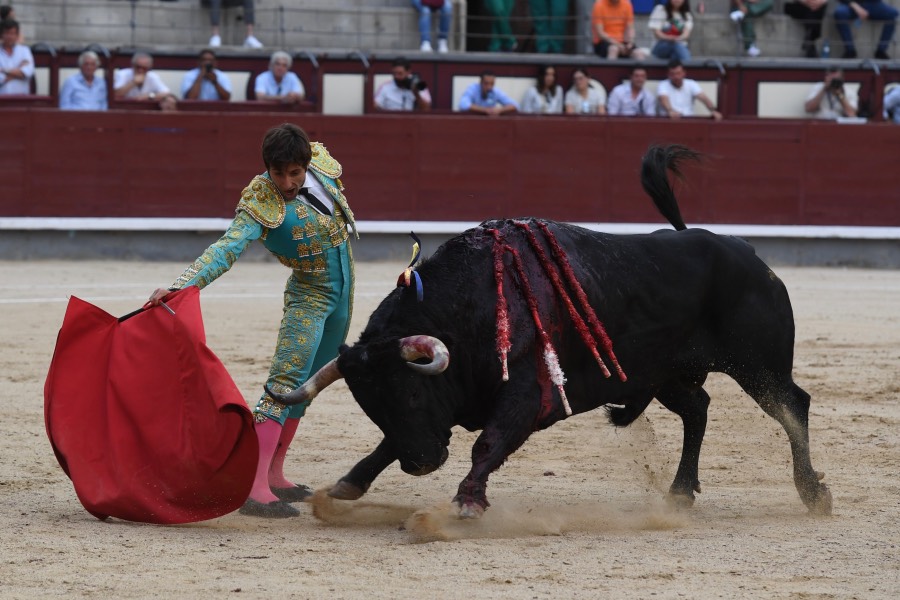 Madrid, domingo 23 de junio de 2019