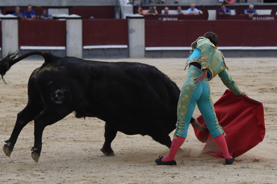 Madrid, domingo 23 de junio de 2019