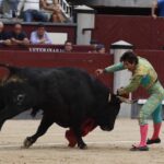 Madrid, domingo 23 de junio de 2019