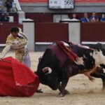 Madrid, domingo 23 de junio de 2019