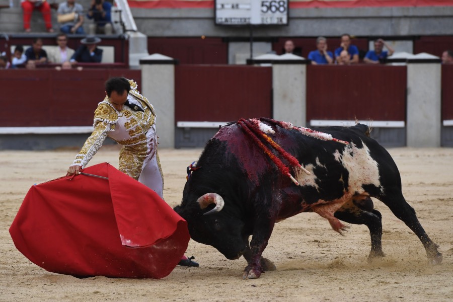 Madrid, domingo 23 de junio de 2019