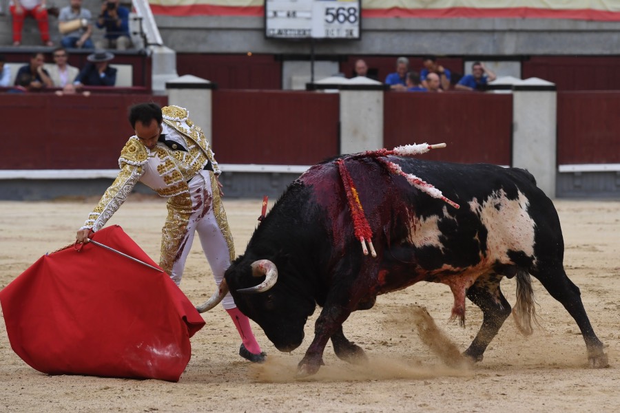 Madrid, domingo 23 de junio de 2019