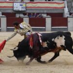 Madrid, domingo 23 de junio de 2019