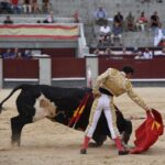 Madrid, domingo 23 de junio de 2019