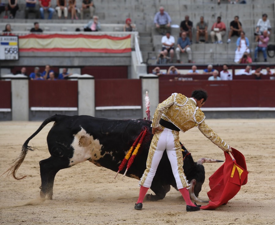 Madrid, domingo 23 de junio de 2019
