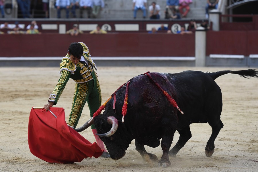 Madrid, domingo 23 de junio de 2019