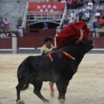 Madrid, domingo 23 de junio de 2019