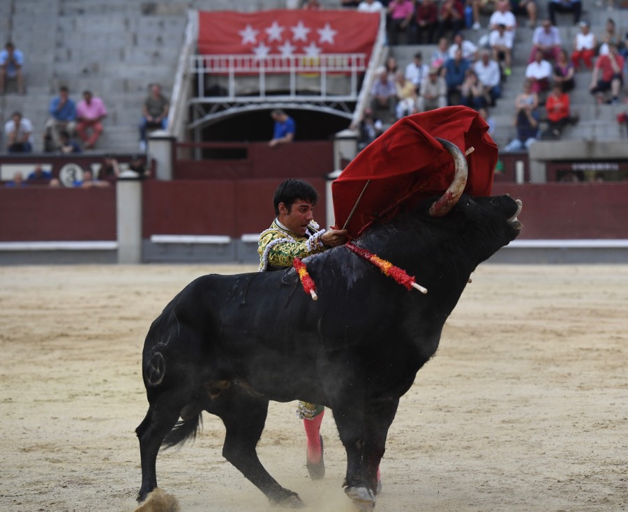 Madrid, domingo 23 de junio de 2019