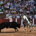 Zamora. Domingo 30 de junio de 2019