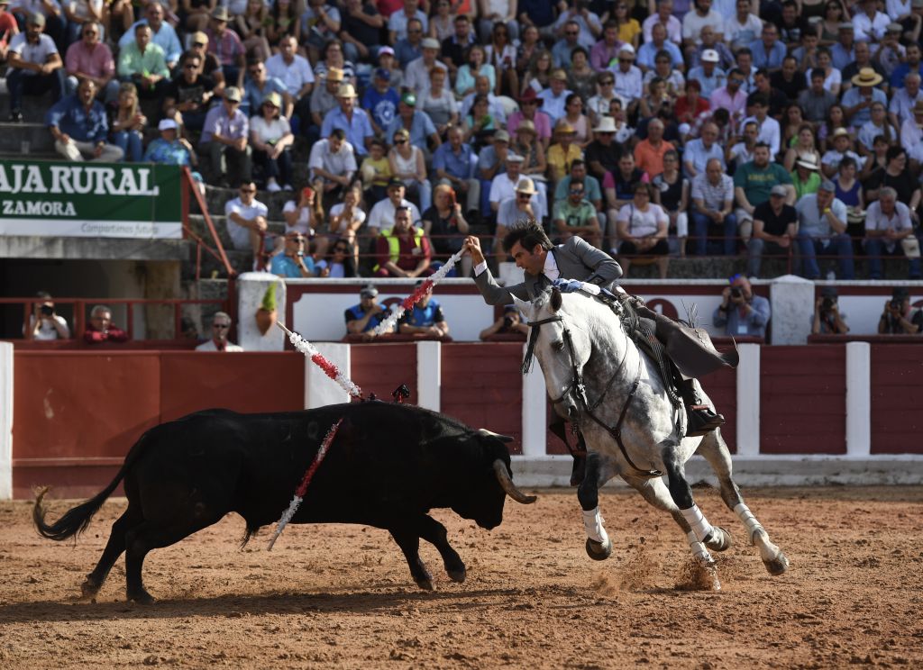 Zamora. Domingo 30 de junio de 2019