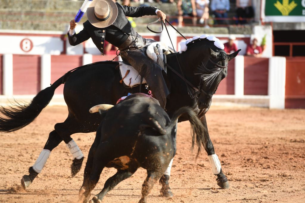 Zamora. Domingo 30 de junio de 2019