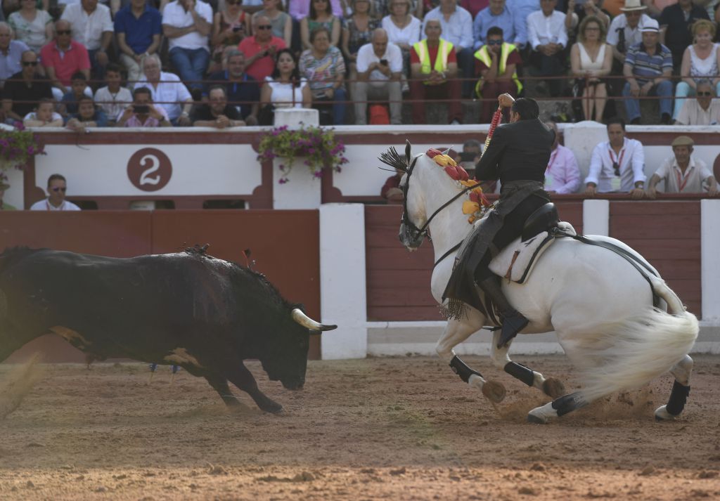 Zamora. Domingo 30 de junio de 2019